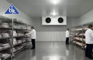 Air Blast Freezer: Solusi Cerdas untuk Efisiensi dan Kualitas Produk Anda